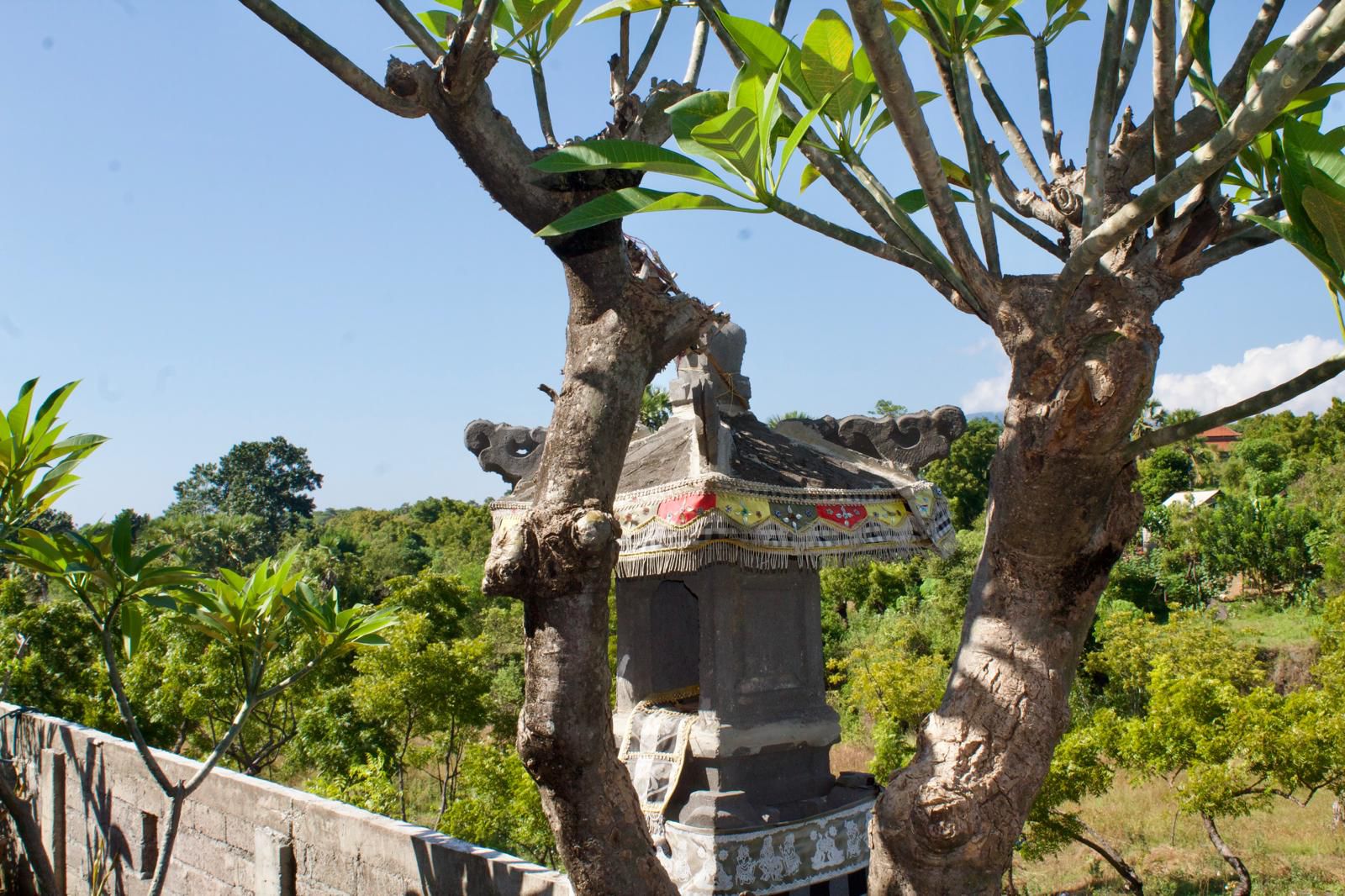 Jiwadive on-site room